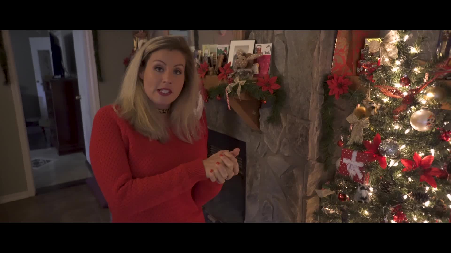 Coco vandi christmas