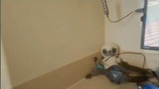 Sœur demande un coup de main.. Aide-moi à t'aider.. - Kristy May 1080p